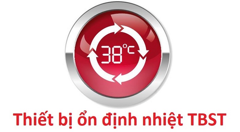 Bộ ổn định nhiệt TBST, Ariston 30L SL2 30R 